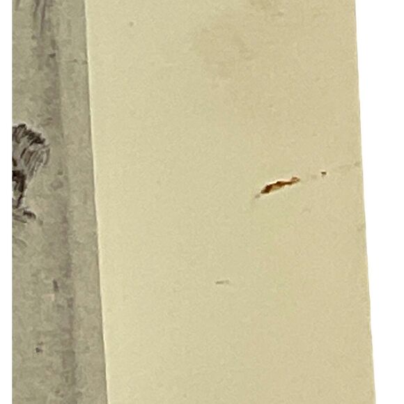 Winifred Austen The Pheasant Brood Signed Etching Reproduction Nature Magazine - Picture 3 of 4